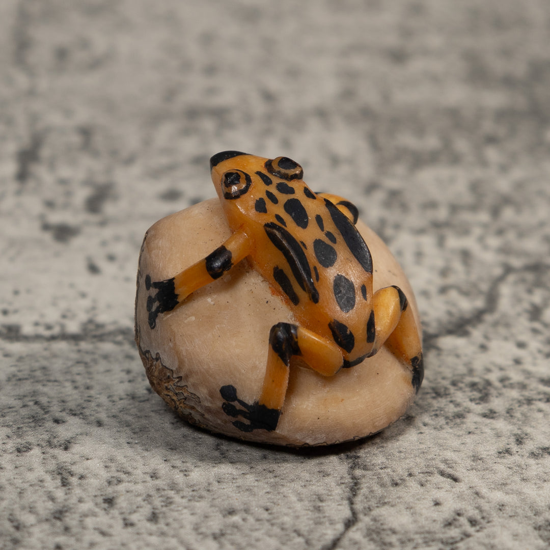 Vintage Gold And Black Poison Dart Frog Tagua Carving