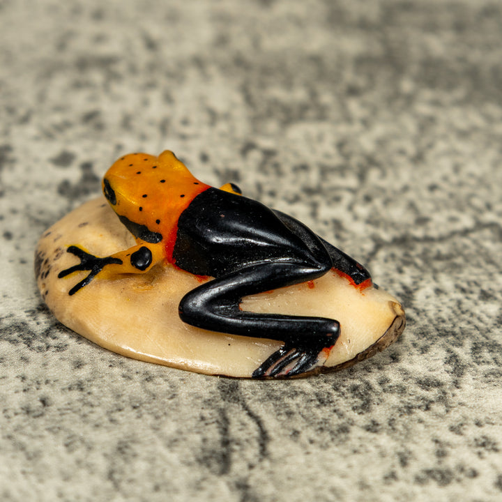 Vintage Black And Orange Poison Dart Frog Tagua Carving