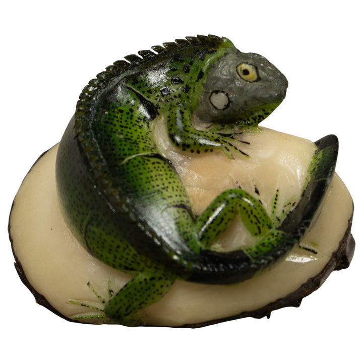 Iguana Lizard Reptile Tagua Carving