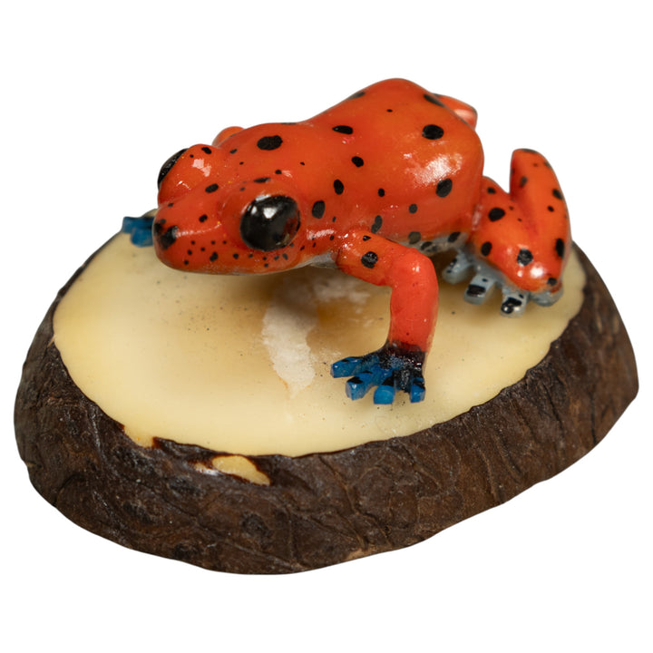 Red And Blue Poison Dart Frog Tagua Carving