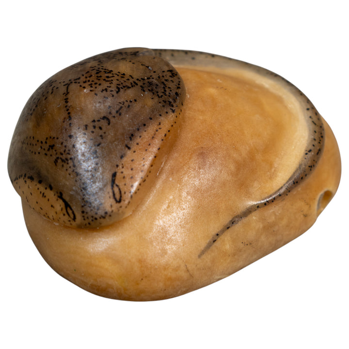 Vintage Black And White Sea Stingray Tagua Carving