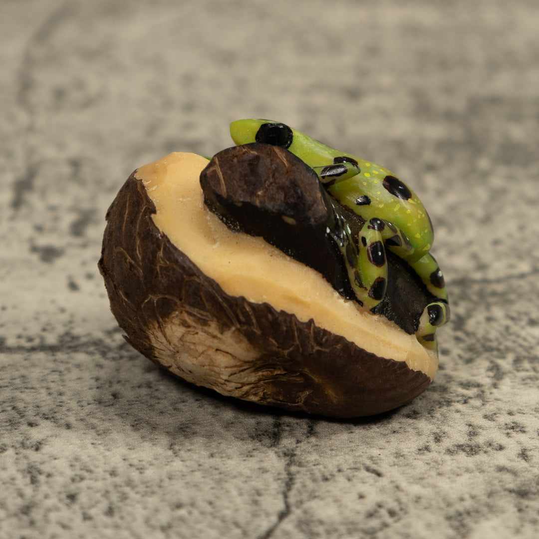 Green Poison Dart Frog Tagua Carving