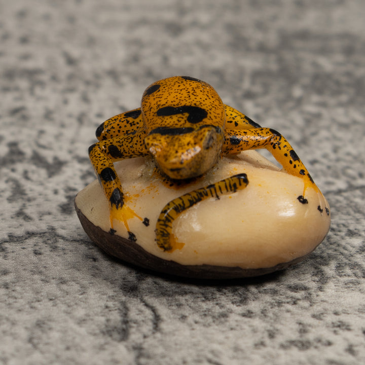 Vintage Gold And Black FrogTagua Carving