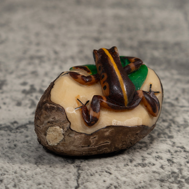 Black And Gold Poison Dart Frog Tagua Carving