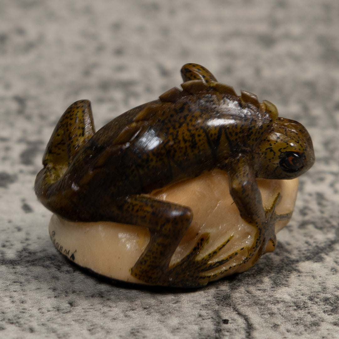 Brown And Black Iguana Lizard Tagua Carving