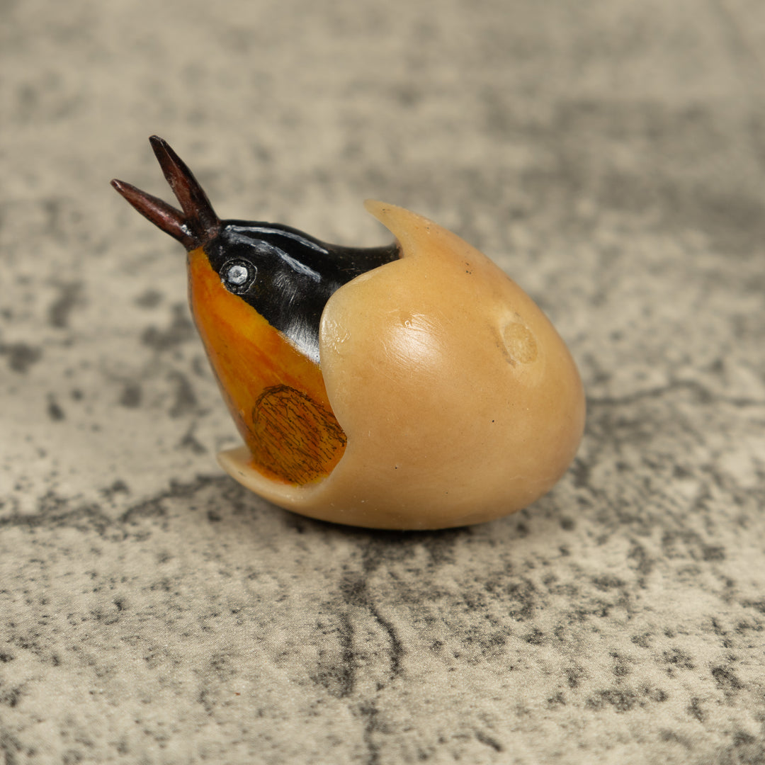 Orange Seed Eater Bird Emerging From Egg Tagua Carving