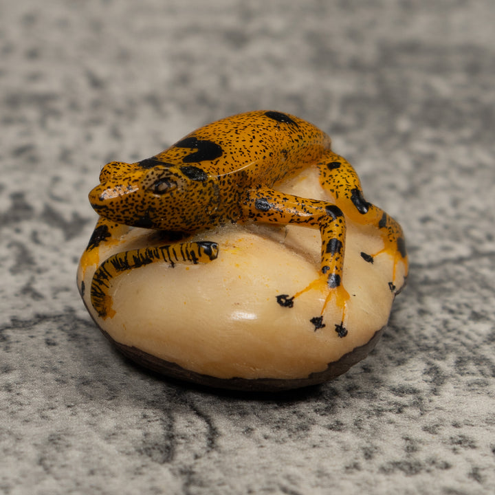Vintage Gold And Black FrogTagua Carving