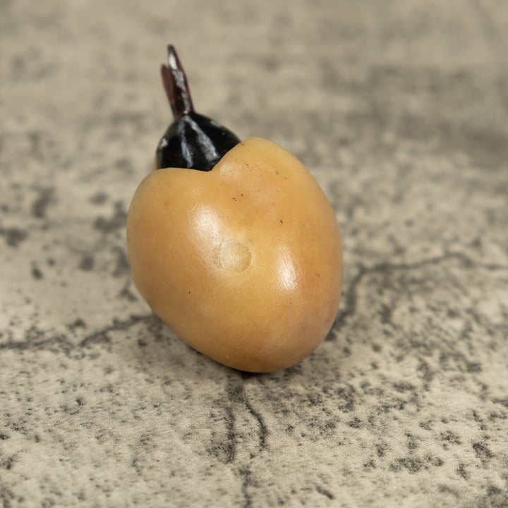 Orange Seed Eater Bird Emerging From Egg Tagua Carving