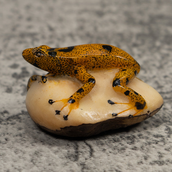 Vintage Gold And Black FrogTagua Carving