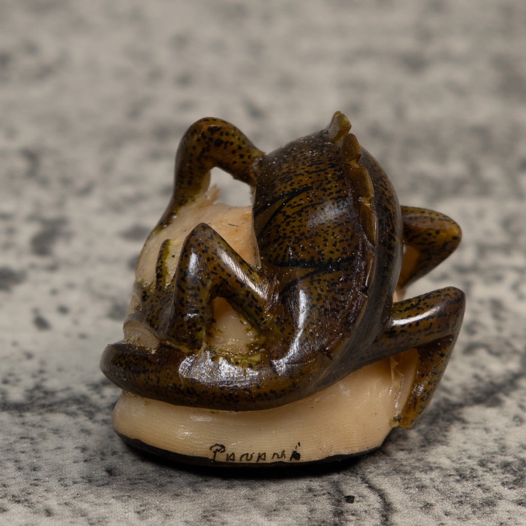 Brown And Black Iguana Lizard Tagua Carving