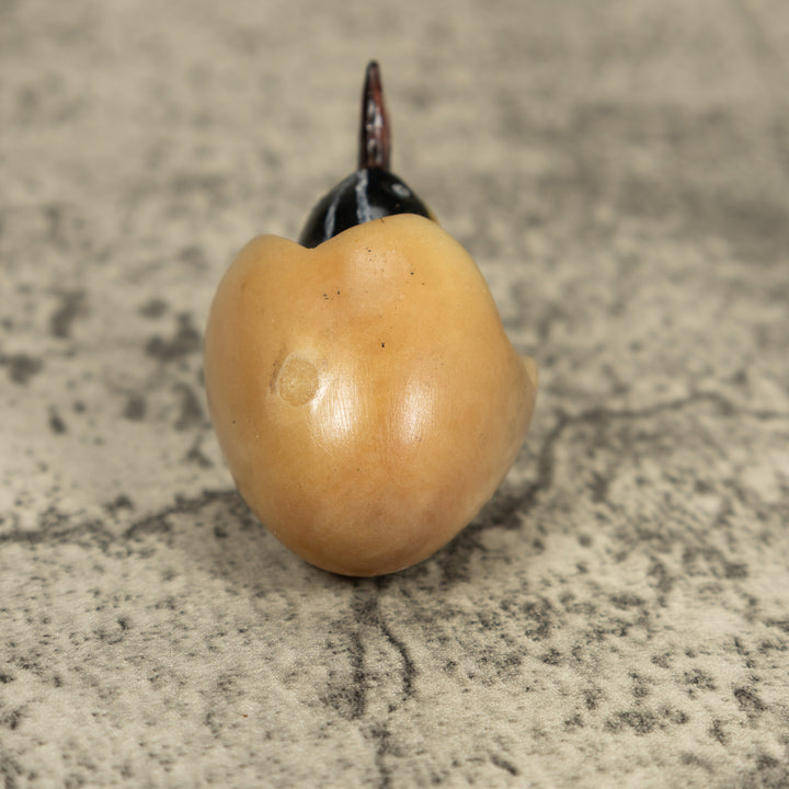 Orange Seed Eater Bird Emerging From Egg Tagua Carving