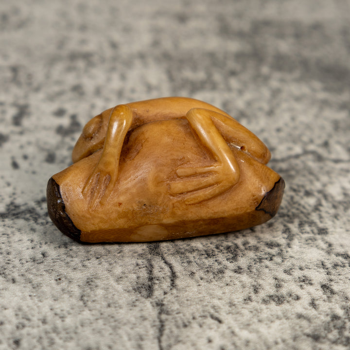 Vintage Natural White Dyed FrogTagua Carving
