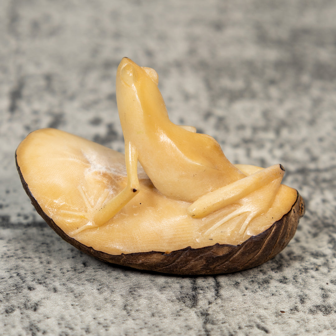 Natural White Frog Tagua Carving