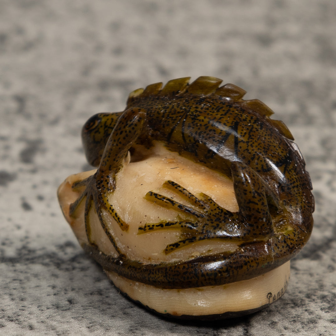 Brown And Black Iguana Lizard Tagua Carving
