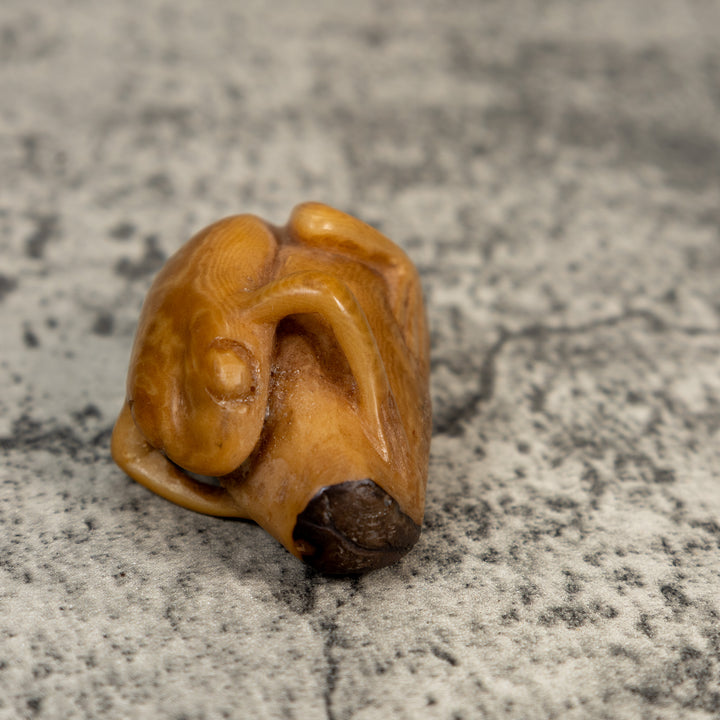 Vintage Natural White Dyed FrogTagua Carving