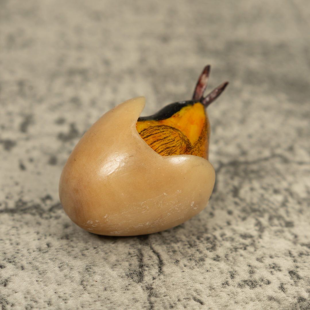 Orange Seed Eater Bird Emerging From Egg Tagua Carving