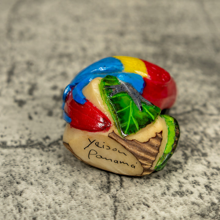 Red Yellow And Blue Macaw Parrot Tagua Carving