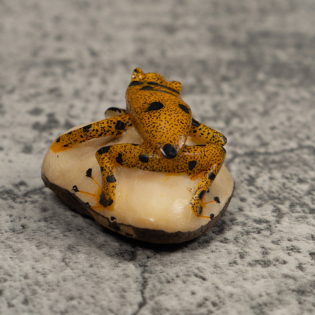 Vintage Gold And Black FrogTagua Carving