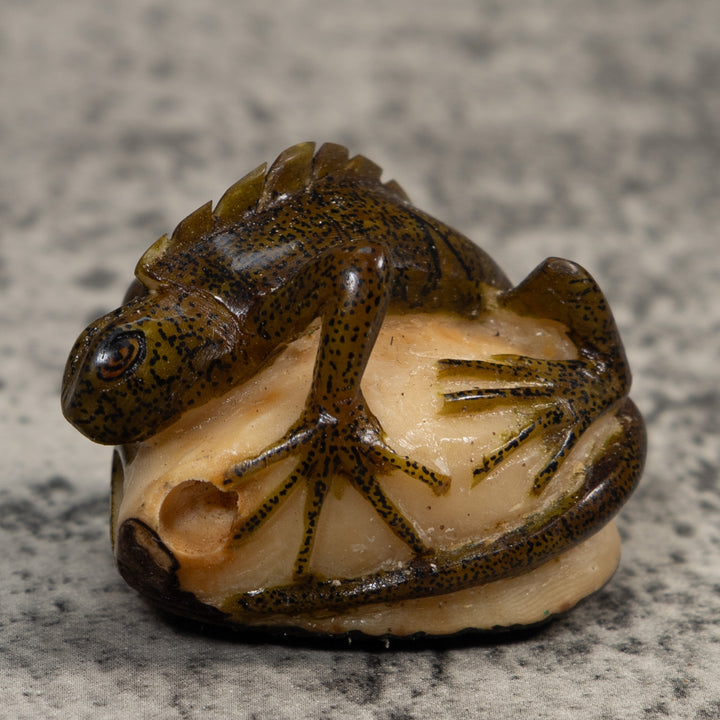 Brown And Black Iguana Lizard Tagua Carving