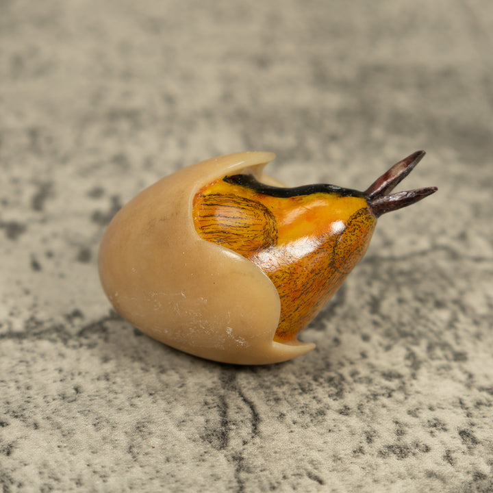 Orange Seed Eater Bird Emerging From Egg Tagua Carving