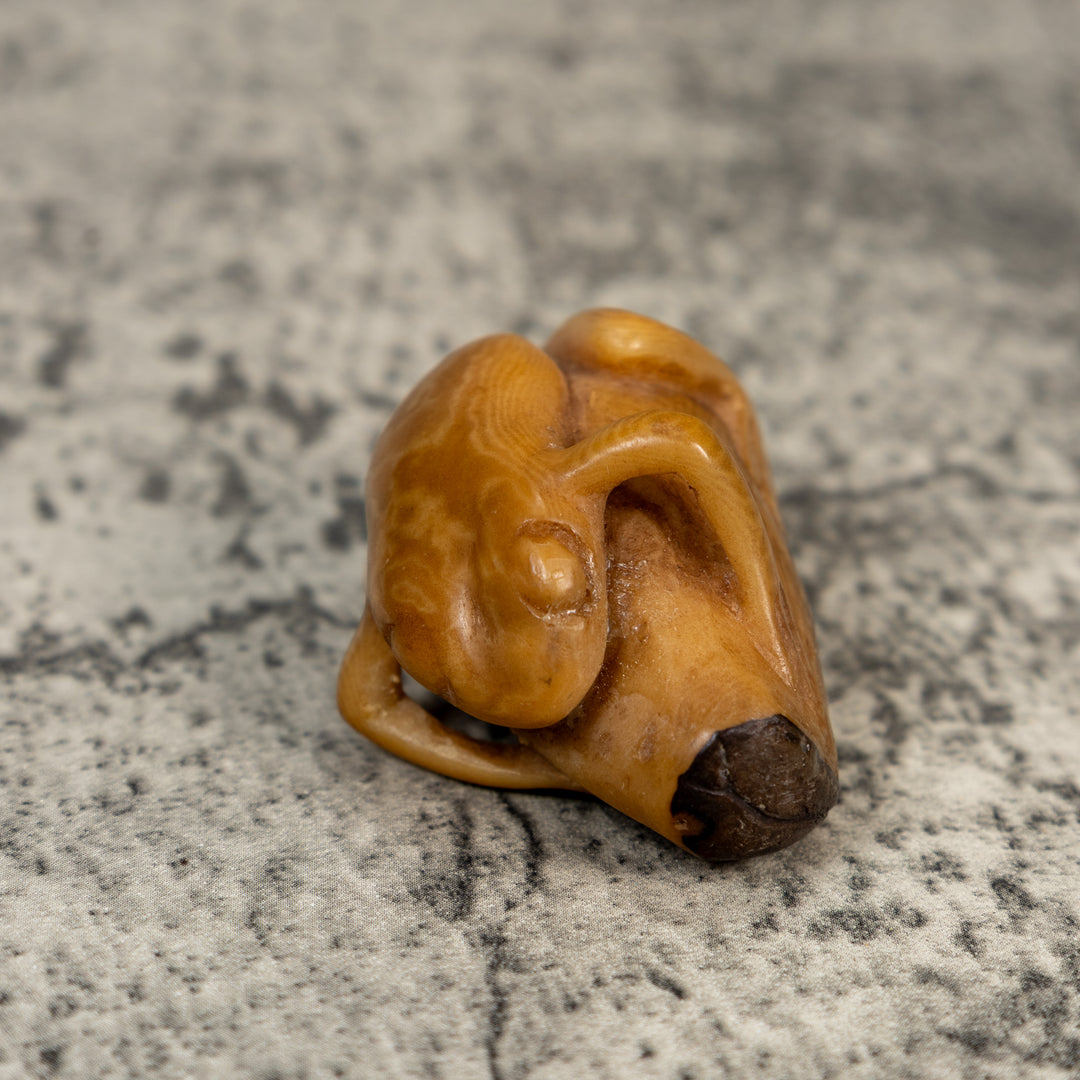 Vintage Natural White Dyed FrogTagua Carving