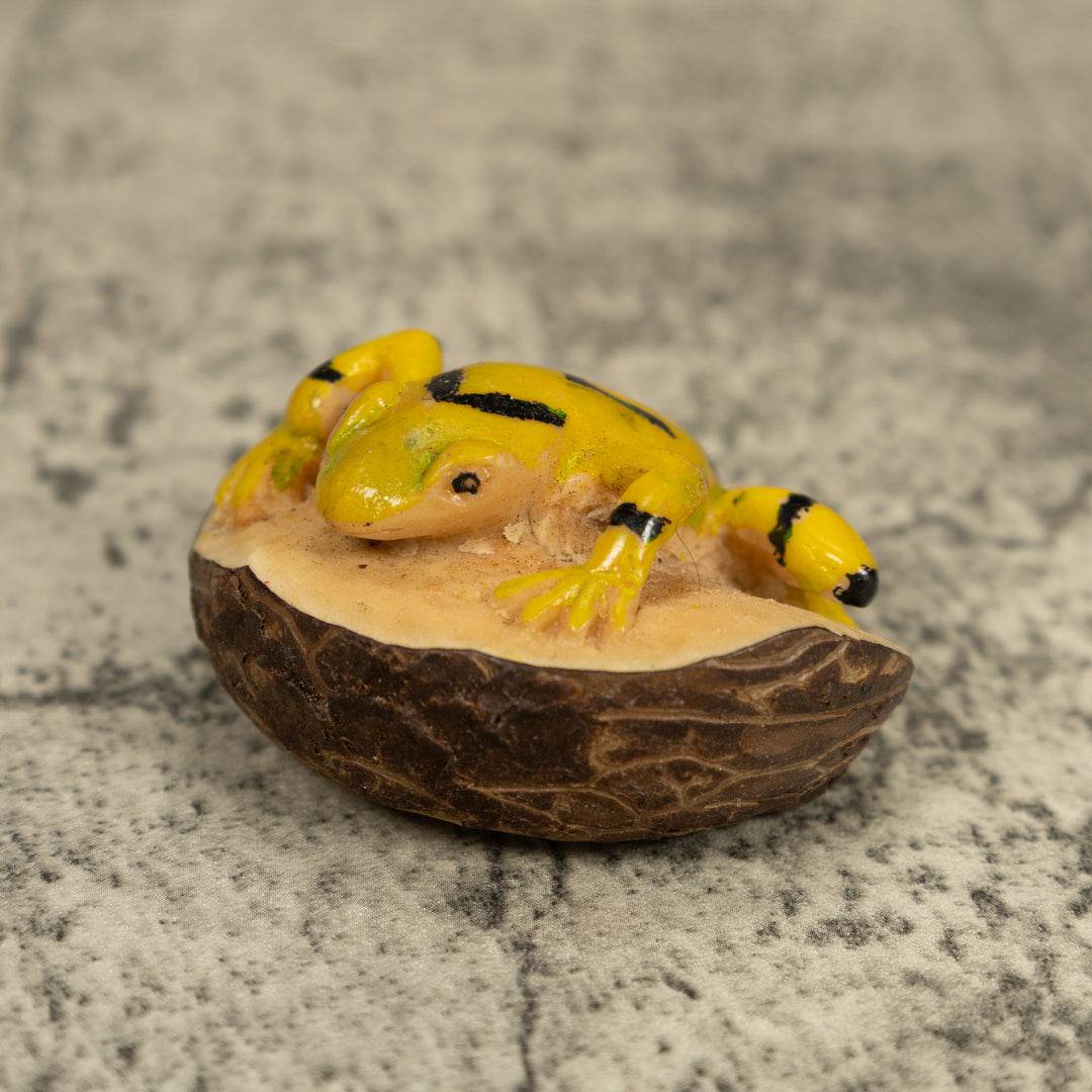 Vintage Golden Frog Tagua Carving