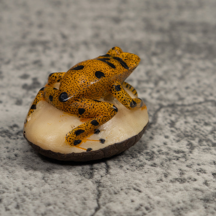 Vintage Gold And Black FrogTagua Carving