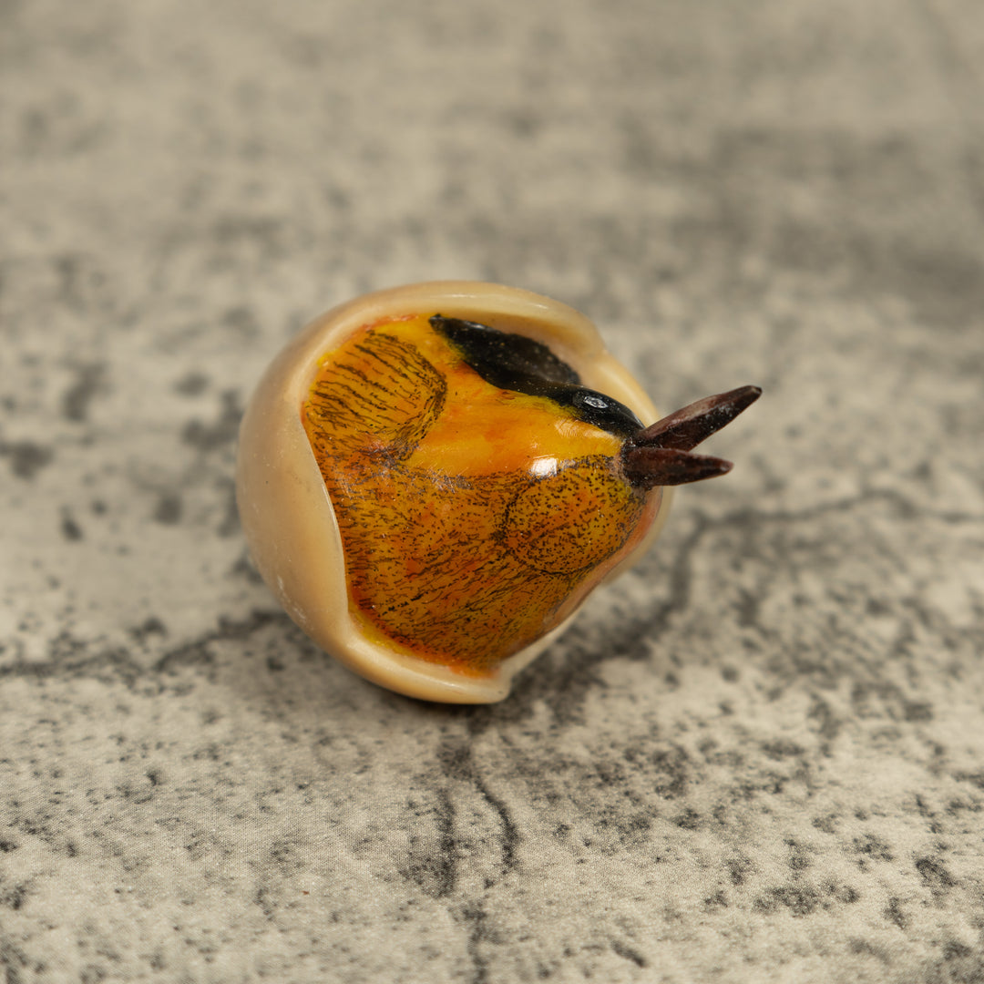 Orange Seed Eater Bird Emerging From Egg Tagua Carving
