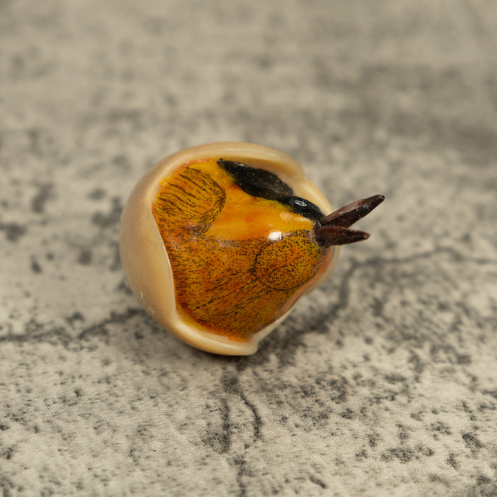 Orange Seed Eater Bird Emerging From Egg Tagua Carving