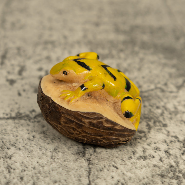 Vintage Golden Frog Tagua Carving