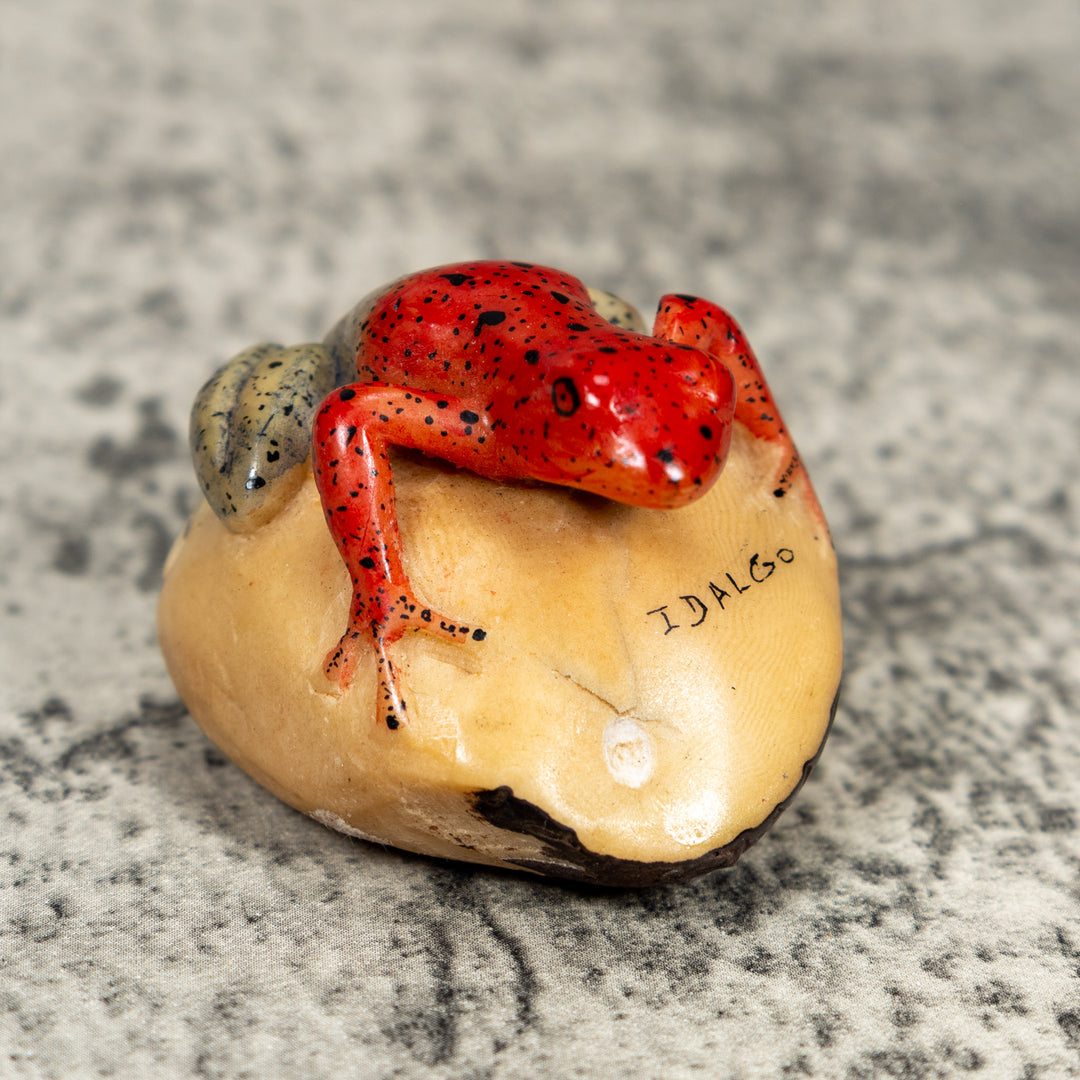 Blue And Red Poison Dart Frog Tagua Carving