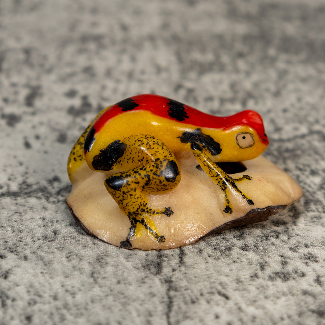 Vintage Poison Dart Frog Tagua Carving