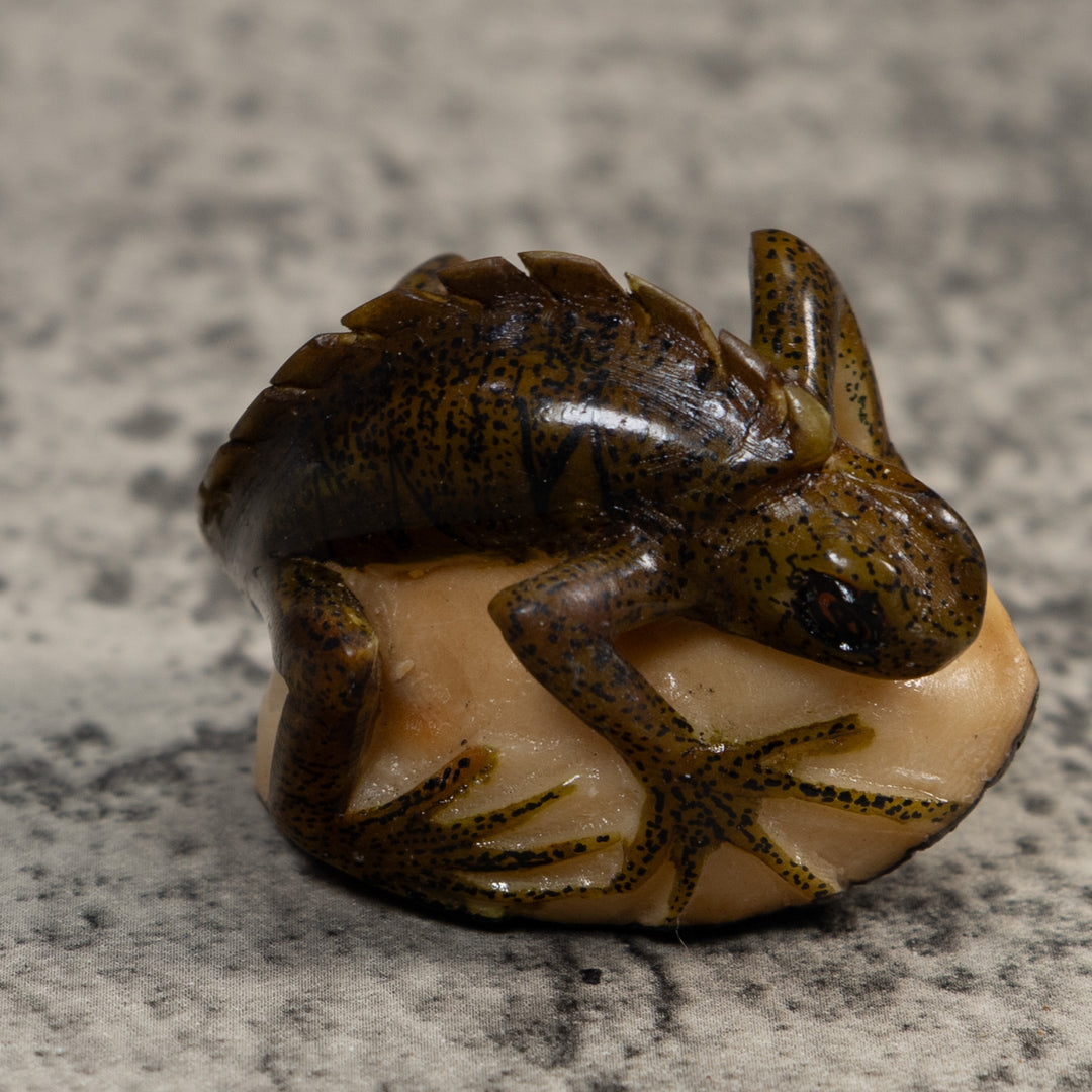 Brown And Black Iguana Lizard Tagua Carving