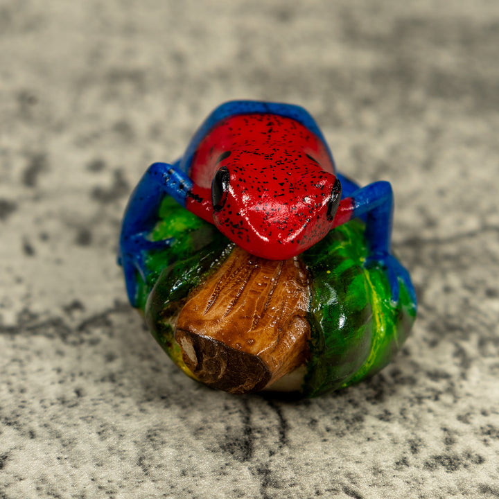 Red Blue And Green Poison Dart Frog Tagua Carving