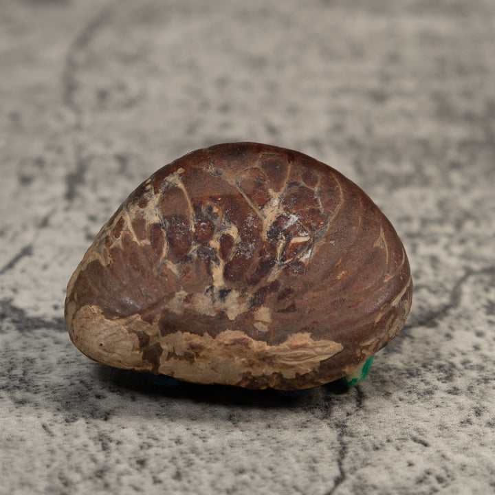 Blue Yellow And Green Gecko Leaf And Frog Tagua Carving