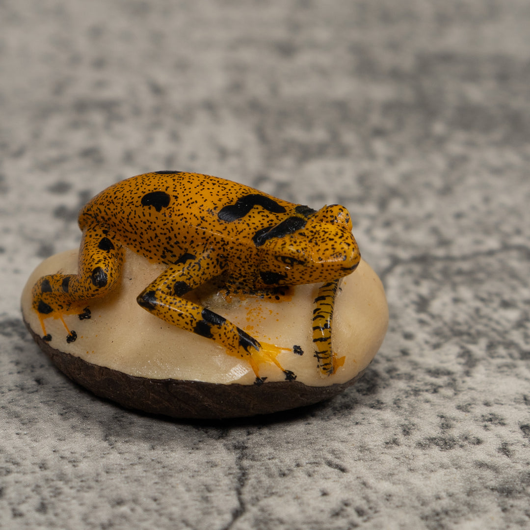 Vintage Gold And Black FrogTagua Carving