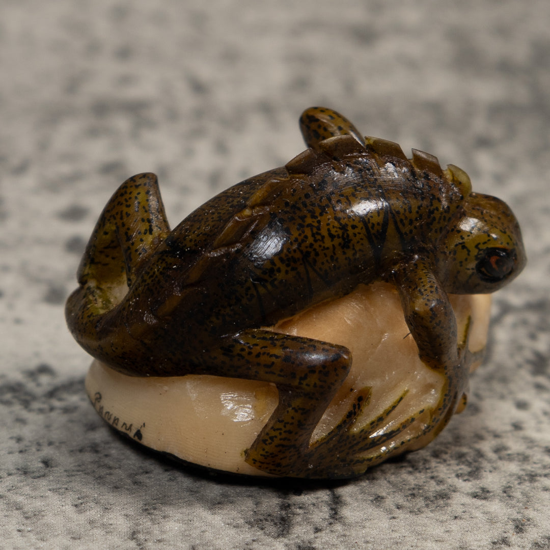 Brown And Black Iguana Lizard Tagua Carving