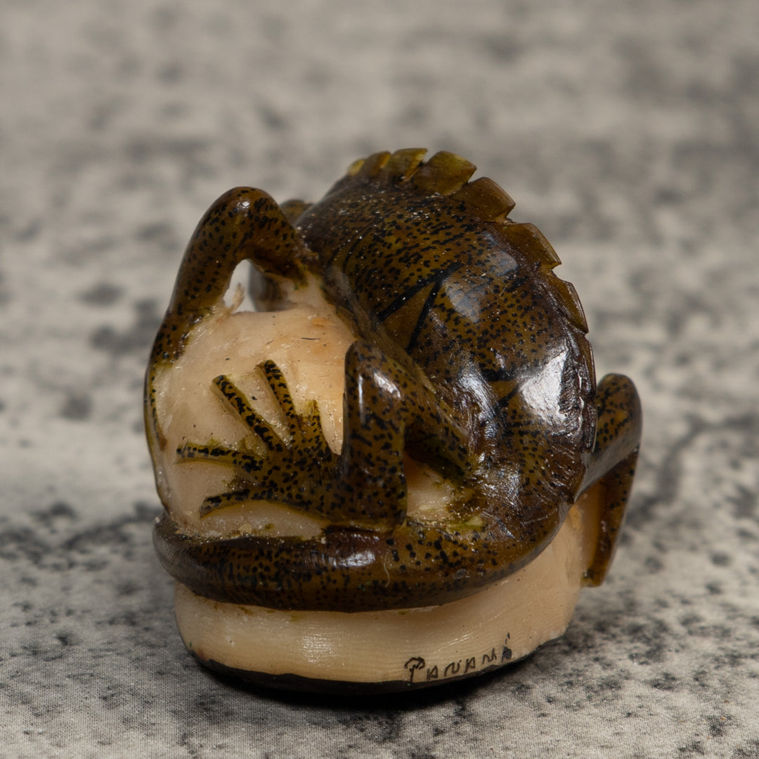 Brown And Black Iguana Lizard Tagua Carving
