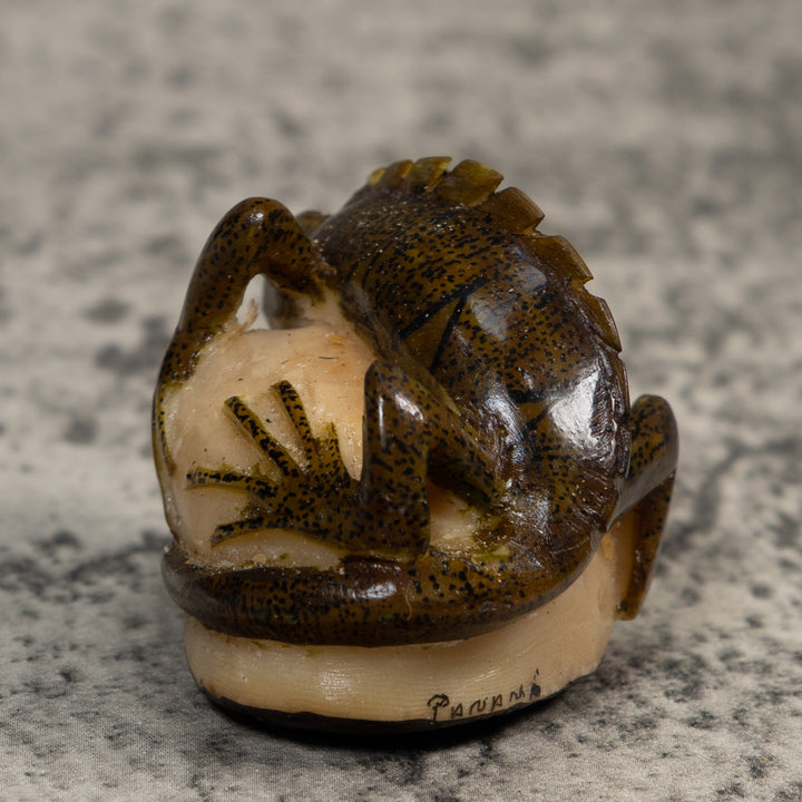 Brown And Black Iguana Lizard Tagua Carving