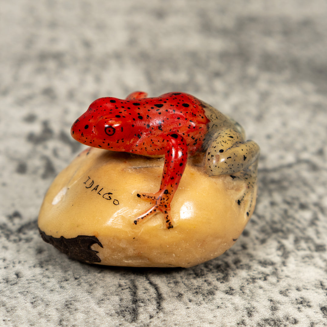 Blue And Red Poison Dart Frog Tagua Carving