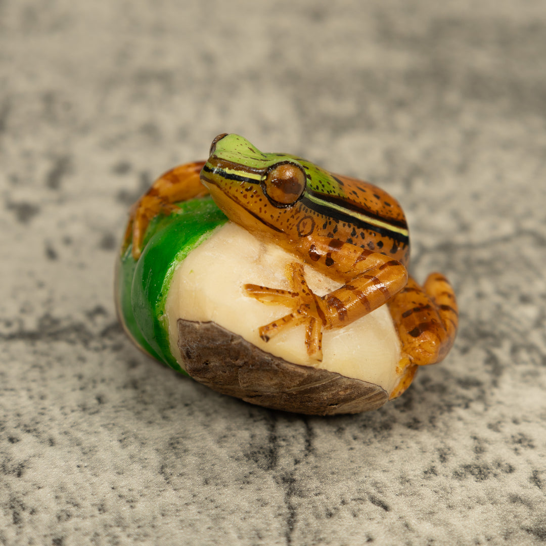 Brown And Green Poison Dart Frog Tagua Carving