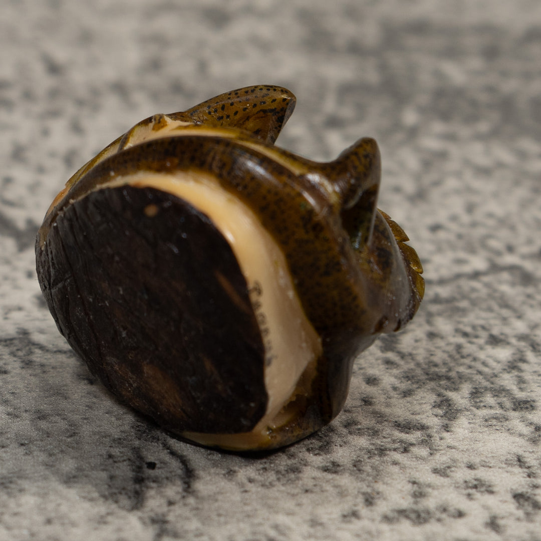 Brown And Black Iguana Lizard Tagua Carving