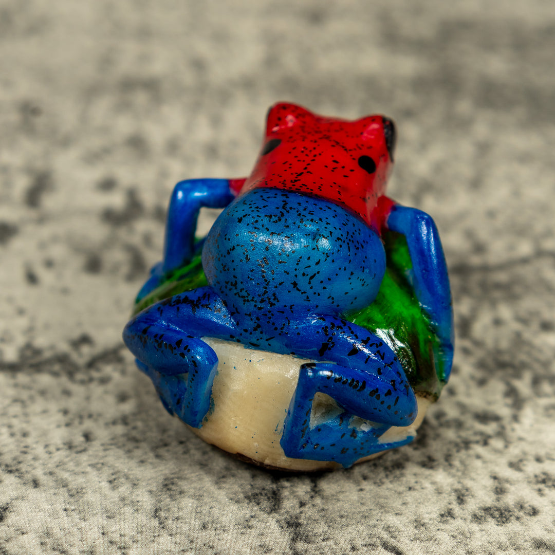 Red Blue And Green Poison Dart Frog Tagua Carving