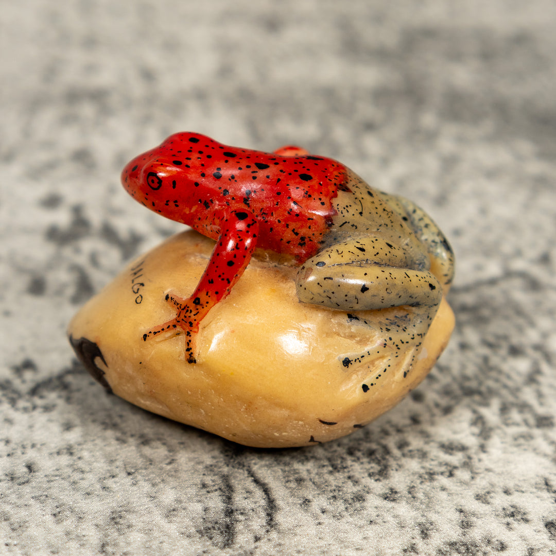 Blue And Red Poison Dart Frog Tagua Carving