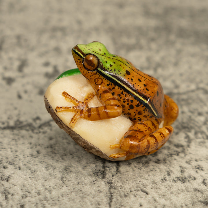 Brown And Green Poison Dart Frog Tagua Carving