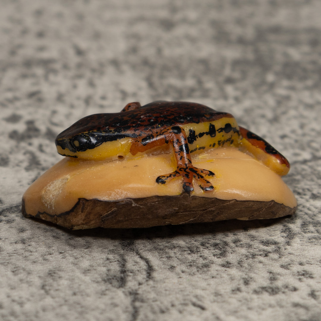 Vintage Brown And Black Frog Tagua Carving