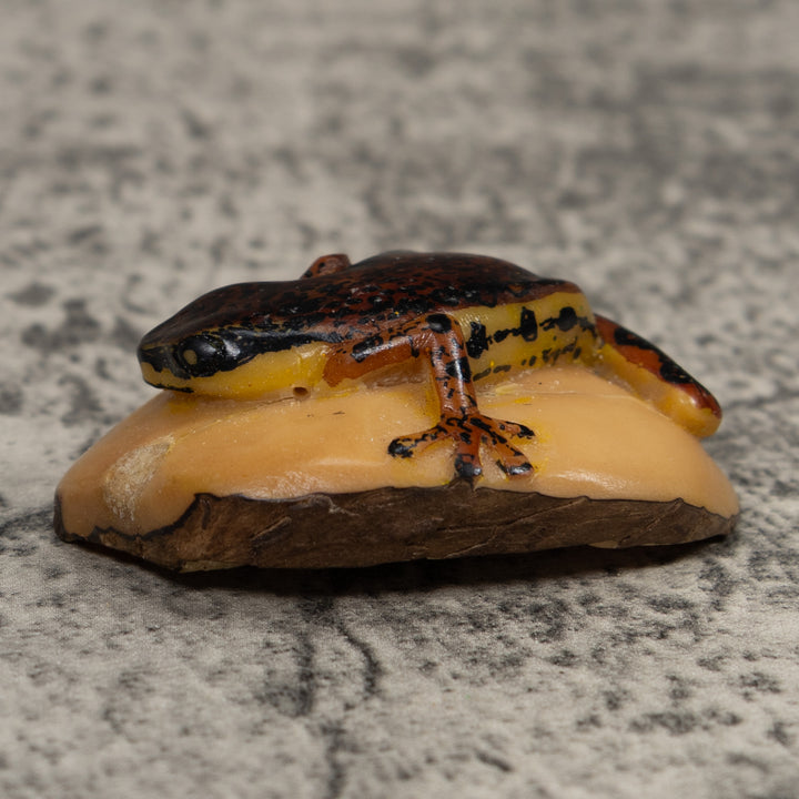 Vintage Brown And Black Frog Tagua Carving