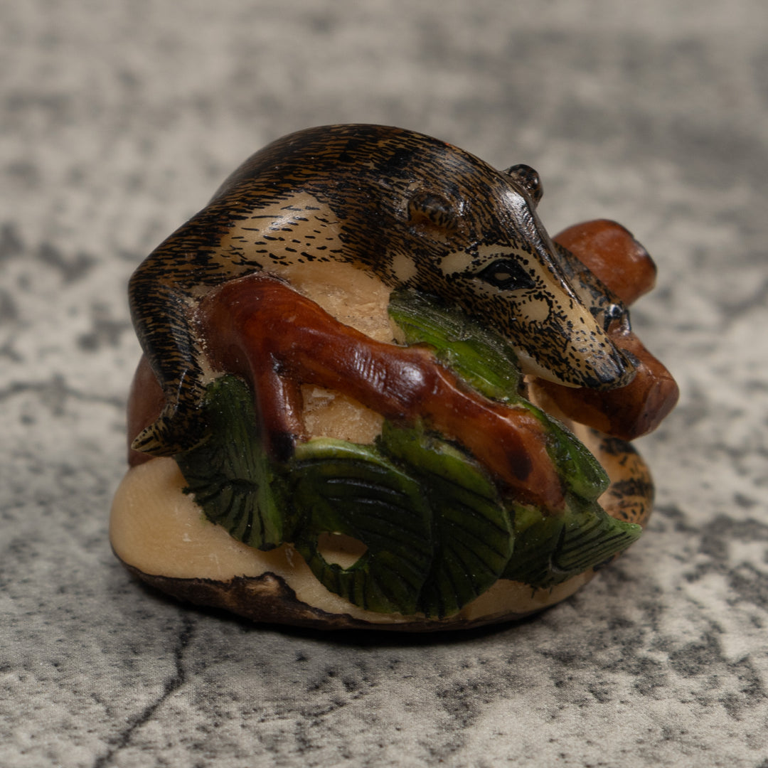 Coatimundi Tagua Carving
