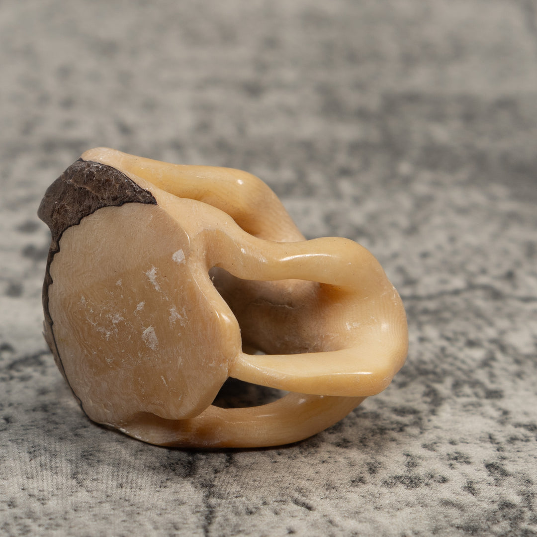 Vintage White Jungle Animal Tagua Carving