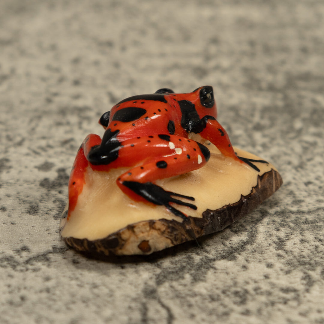 Vintage Poison Dart Frog Tagua Carving